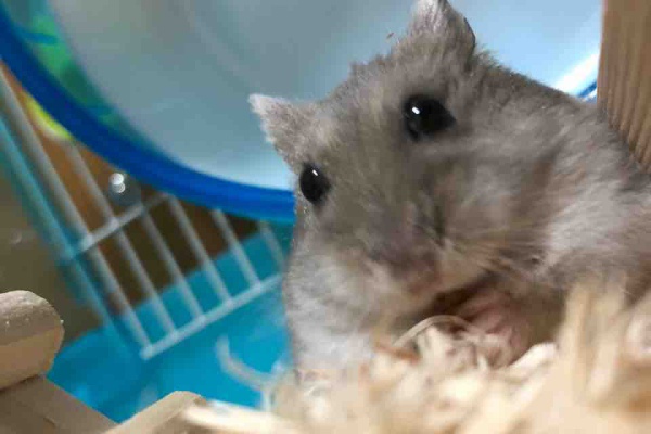 あおぽてのblog あおの記録