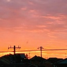 久しぶりの平日稽古