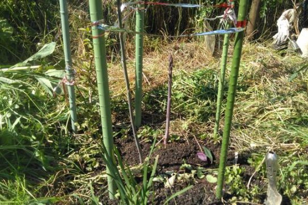 高知 大好き お酒 大好き