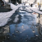写真都市