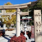 合気道月光流道場長・チョコ助と伊東健治の公式ブログ　「骸(むくろ)をつけていま一戦(ひといくさ)せん！！」