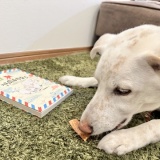 カウントダウン【１日前】