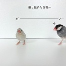 セラが攻撃しない方法を模索する