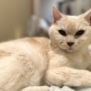 過去ブログから ☆夜、寝ようとしたら♪