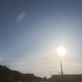 【シニアの暮らし】おひとりさま暮らしへ…整える。。