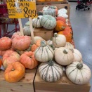 Trader Joe's(トレジョー)のパンプキンづくし♪