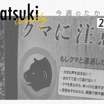 高槻・茨木・島本で熊の目撃が相次いだり、高槻センター街に回転寿司チェーン店ができると分かったり【今週のたかつき】