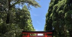【鹿児島県・霧島】お茶の鍋