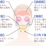 表情筋鍛えまくったらイケメンになったったｗｗｗｗ