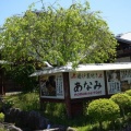 囲炉裏焼きの名店　津山 あなみ！！