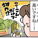 キャベツが高い！！！泣