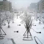 新潟県「新潟は雪積もらないよ！(ｷﾘｯ!」