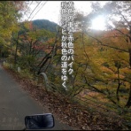 明日は晴れますか ~総合Blog ~