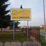 �إ����ꥢ• BROGIATO�ҡ��ۥ磻�ȥ���å����ͤΥ�ӥ󥰥��åȤ����̲��ʤ�����٤β���