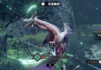 Mhrise 泡やられ無効のスキル無いとタマちゃんヤル気せんわ モンハンライズ モンハンまとめ速報 モンハンライズ攻略