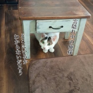 穏やかな午後に響き渡る夫の悲鳴。と、グリーンフラワーのちょうちょ作りました。