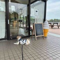 愛犬と久喜菖蒲公園でお散歩。*\(^o^)/*