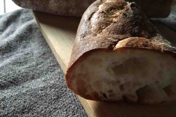 ひばりblog ちゃのわのかいのこと