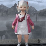 『【FF14】低山逍遥を楽しむまでヾ(〃^∇^)ノ』の画像