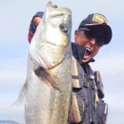 �إ����Х�����ä�������������Ƥ��뤱�ɡ��衼���碌�����😣💦�٤β���