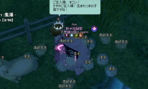 ペットハウスアップグレード 雲クッション(2段階)