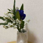 ひろこのひとりごと