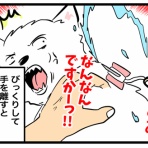 ちーちゃんっ🐾