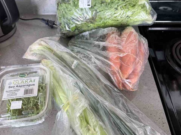 【ダウントゥアース】買い物記録！野菜たっぷり🌱