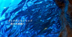 オトナのぷちトリップ ─夜の水族館へ─