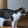 そら君