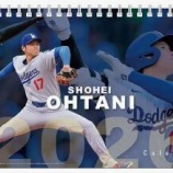 『あまり調子が良くなかった投手、大谷翔平』の画像