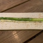 かぼちゃ太陽