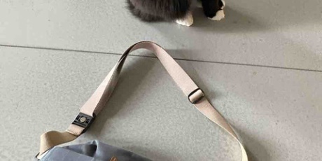 ハワイネコ ブログ 洋服 ファッション In ハワイ