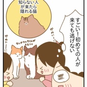 甥っ子猫に会ってきた①