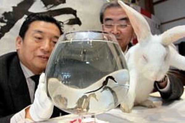 大阪 干支引き継ぎ式 ウサギとタツノオトシゴで 通天閣 ほのぼのにゅーす