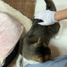 可愛いのんちゃん