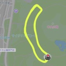 良い流れ(2月5日、変化走)