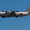 海上自衛隊  第81航空隊 UP-3D 電子戦訓練支援機