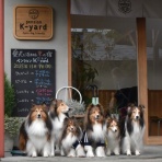 メロディ＆ミニーの写真館