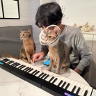 聞き慣れない音にイカ耳の猫たち