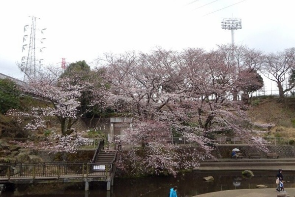 続なかやまさんぽ 22年03月