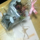 『バレエ発表会』の画像