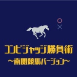 『コンピジャッジ勝負術～南関競馬バージョン～【新着】　検証レビュー』の画像