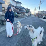 .•*.•*beny beny*•.*•.