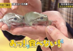 【朗報】乃木中で向井葉月ちゃんが無双してて嬉しい奴wwwwwww