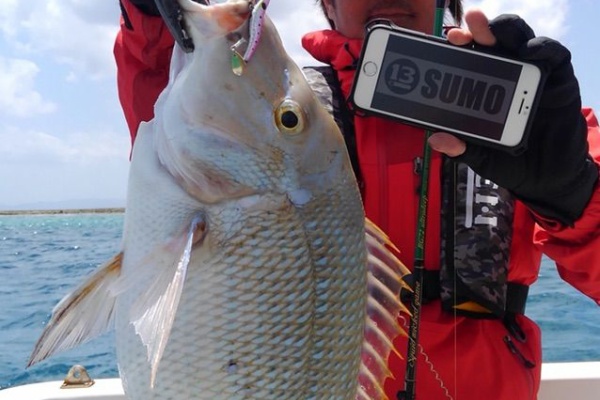カミヤマ ライトゲーム 沖縄ルアー釣り プラグ Amp ワーム 五目釣り タマン