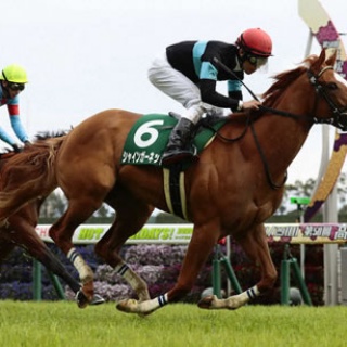 ☆うまなみ・競馬にゅーす速報