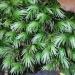 今日もワクワク♪　(#^.^#)