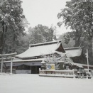 雪の鹿島神宮と臨時休館のお知らせ