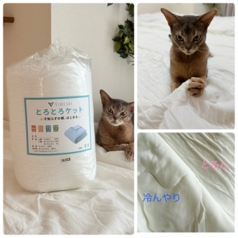 【PR】とろん&冷んやりのリバーシブルが心地よい肌掛けケット